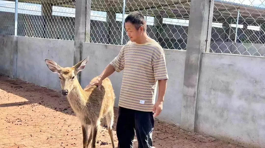 星力7代正版捕鱼